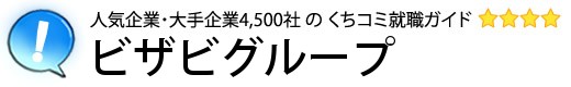 ビザビグループ