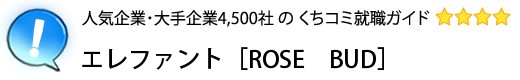 エレファント［ROSE　BUD］